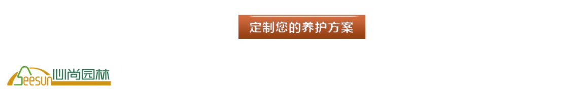 GA黄金甲(中国)最新官方网站